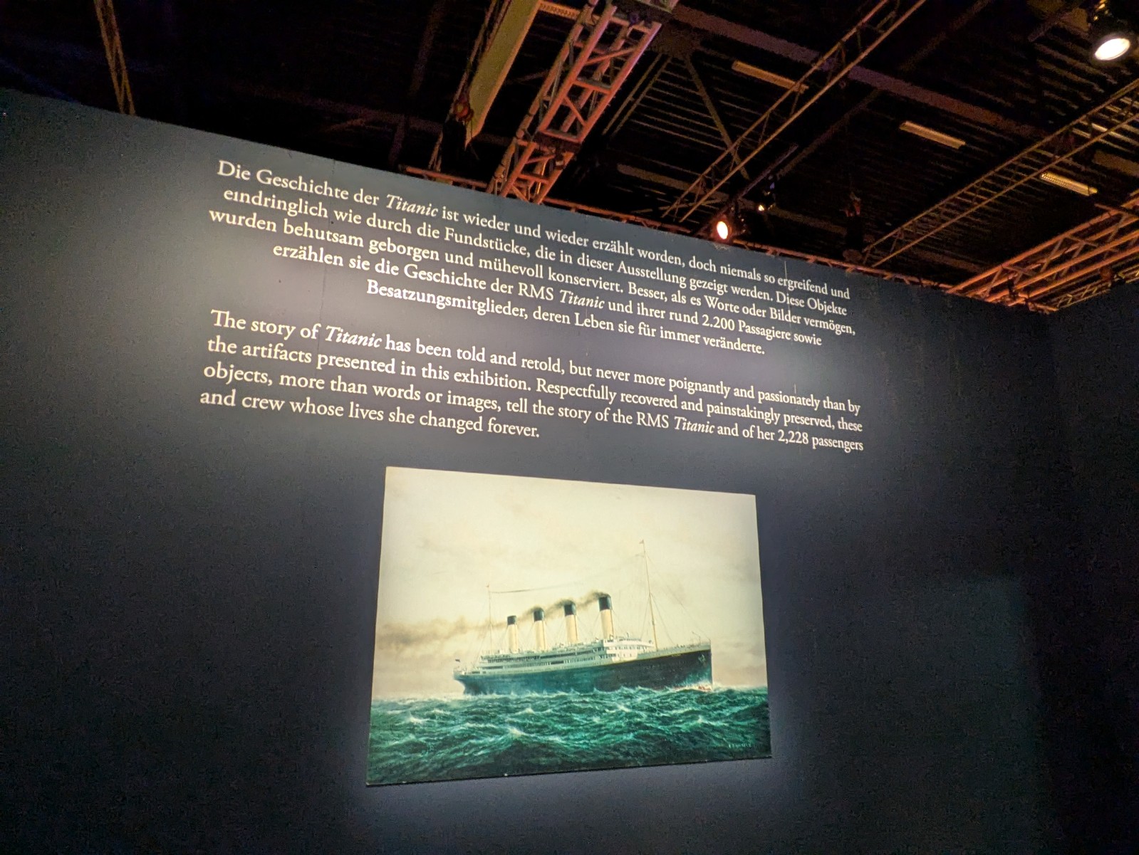 PXL 20241217 100213237